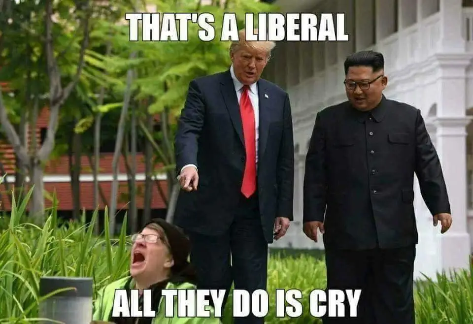 crying liberal.webp