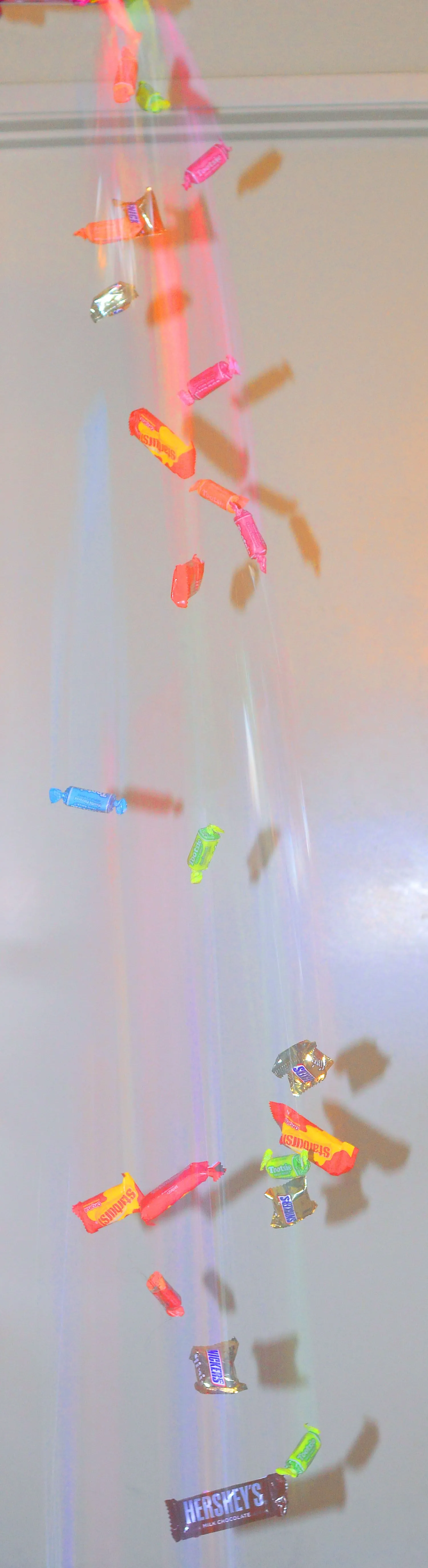 CSC_3790l.webp