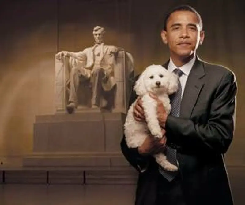 ctyp_6554699obamapuppy_thumb.webp