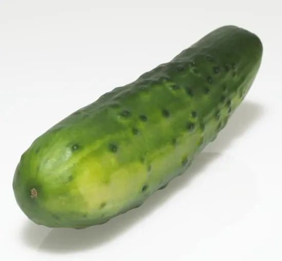 cucumber_1.webp