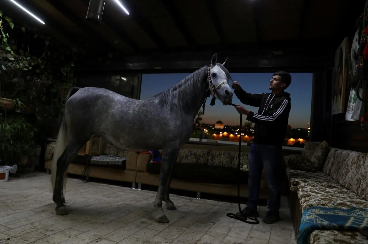 D7085ECB-FBB8-45FD-A1BC-28C98C9F47BA.webp