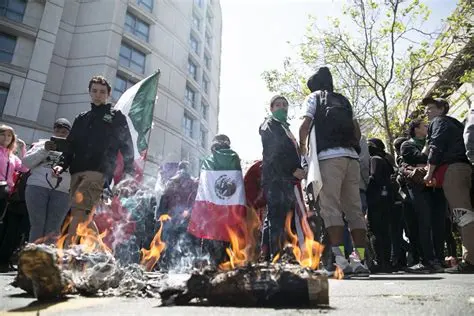 daca burning flags.webp