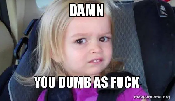 damn-you-dumb.webp