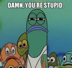 Damn-youre-stupid.webp