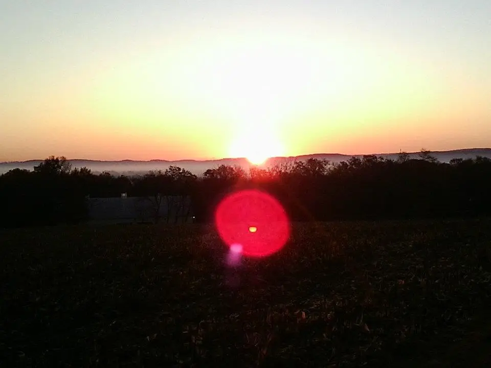 Dawn.webp