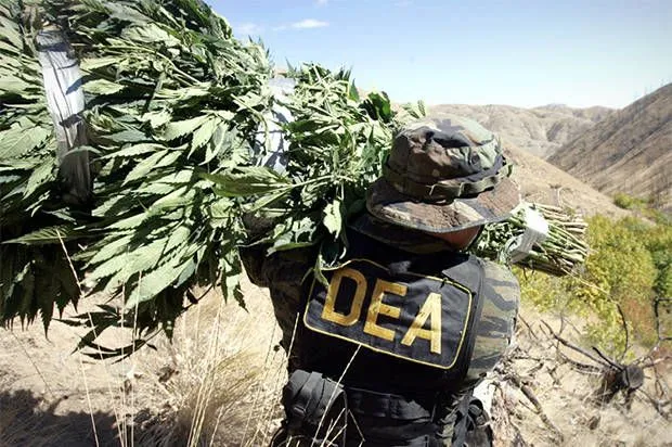 dea.webp