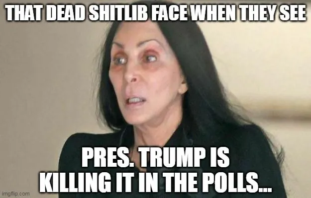 dead shitlib face.webp