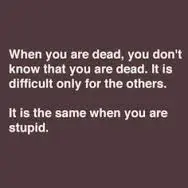 dead stupid.webp