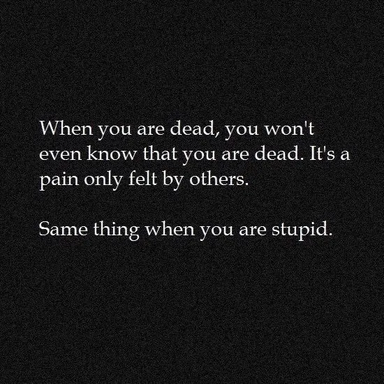 DedStupid.webp