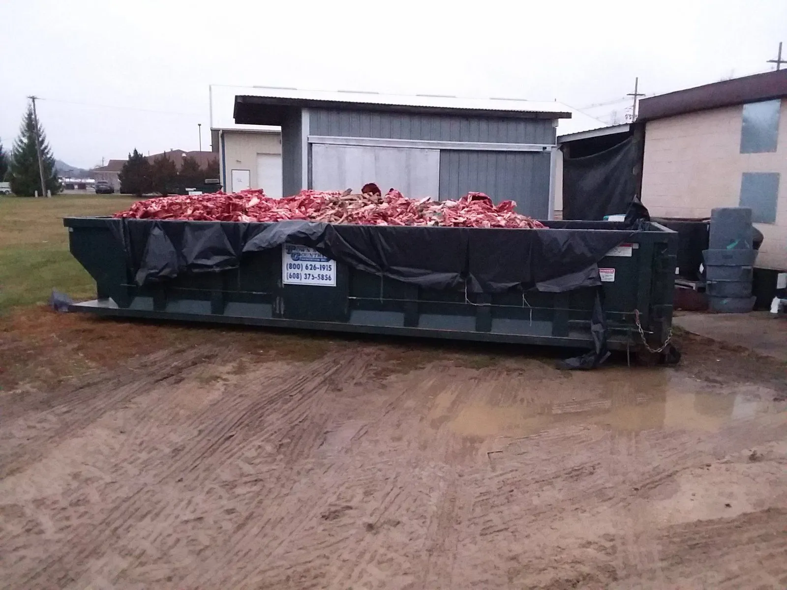 deer guts1.jpg