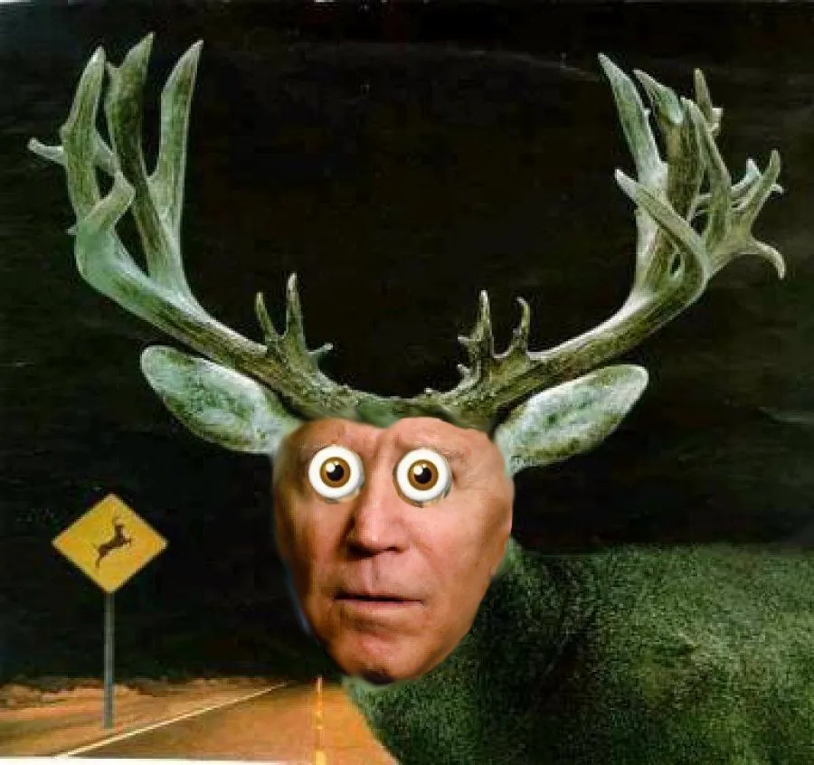 deer headlights.webp