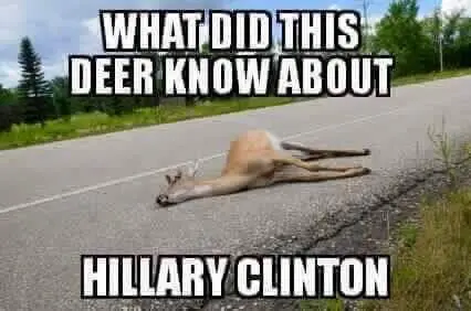 deerknow.webp