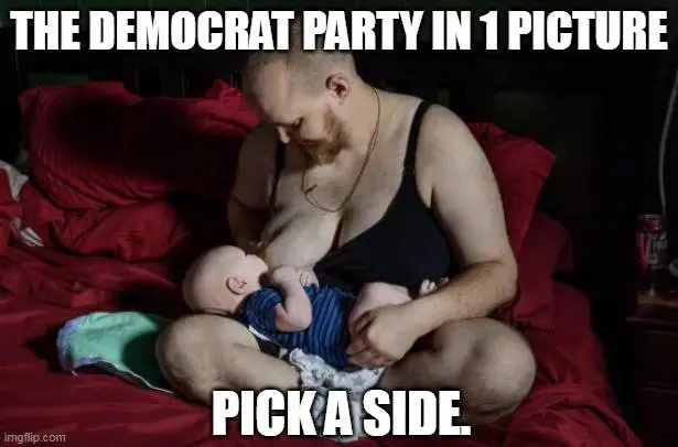 dem party in 1 pic (2).webp