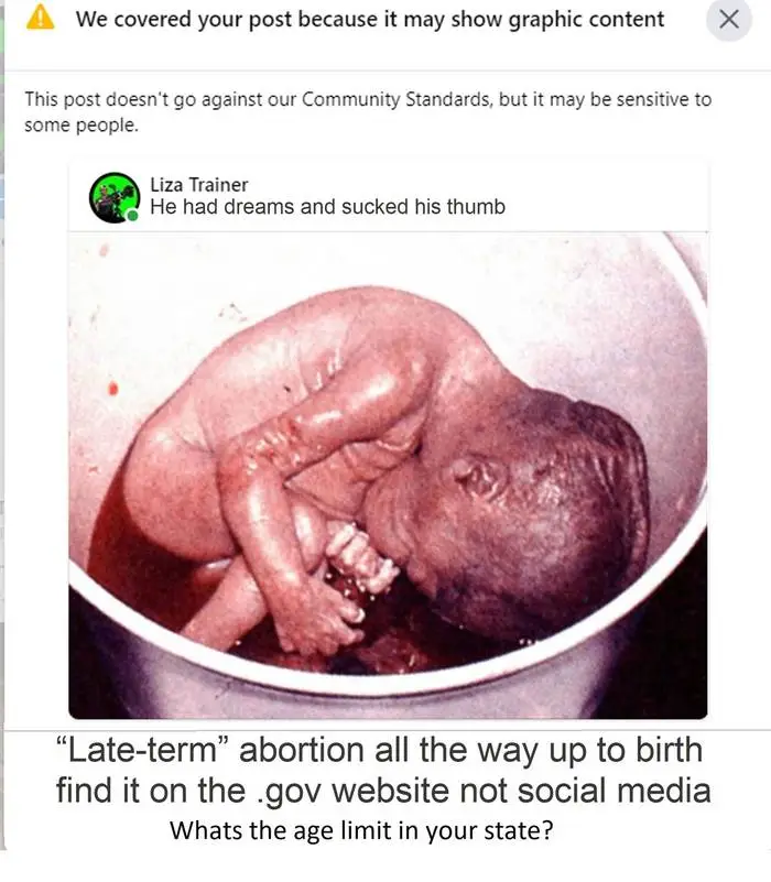 dem party in 1 pic.jpg