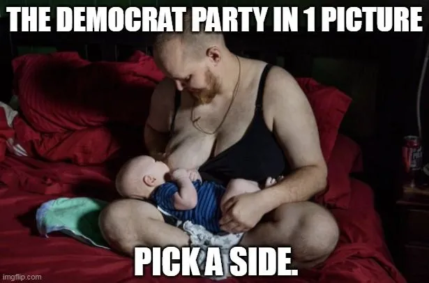 dem party in 1 pic.webp