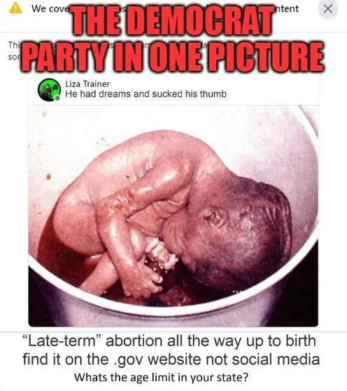 dem party in 1 pic.webp