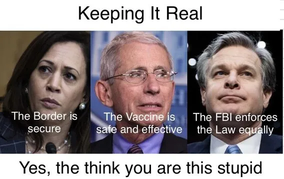 dem stupid ***** 993.webp