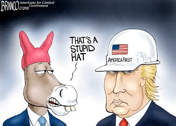 dem stupid hat.webp