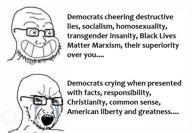 ```````Democrat behavior.webp