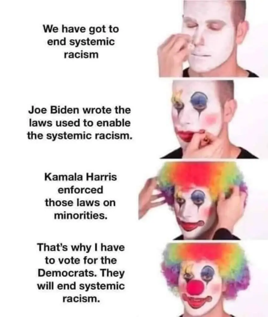 democrat clowns.webp