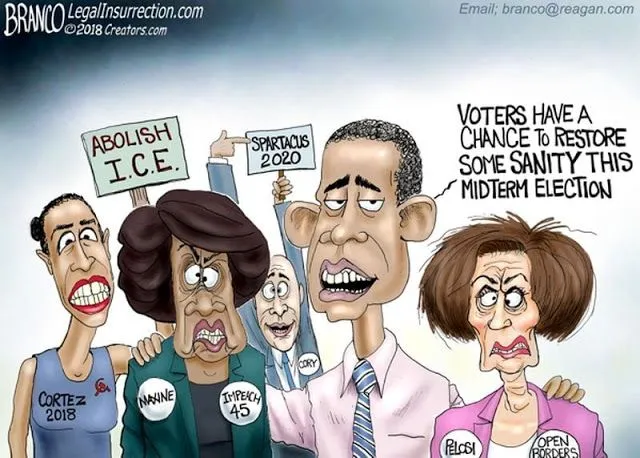 democrat-insanity-stupid-crooks.webp