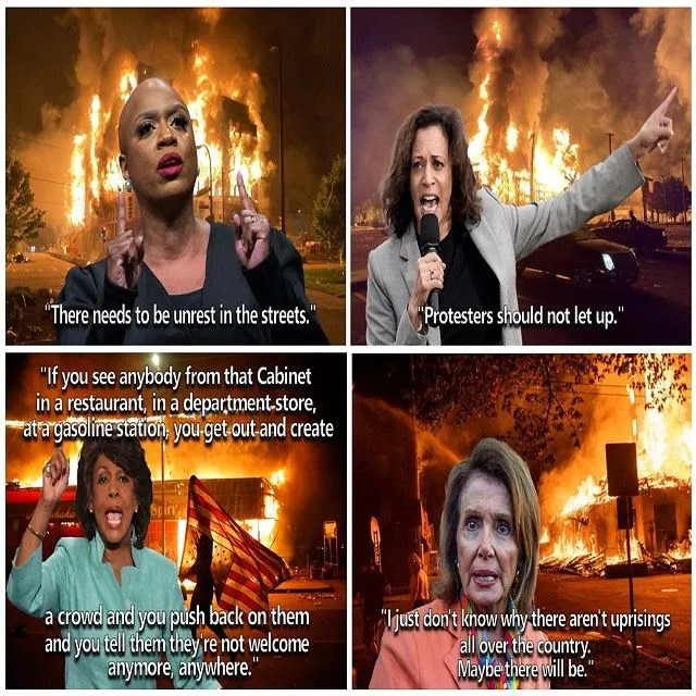 democrat insurrectionists.webp