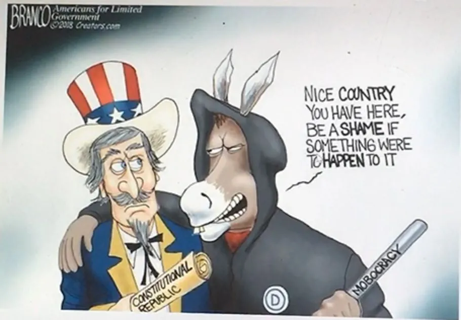 Democrat mobocracy.webp
