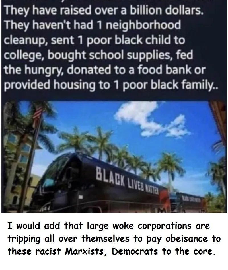 Democrat Stupidity5.jpg