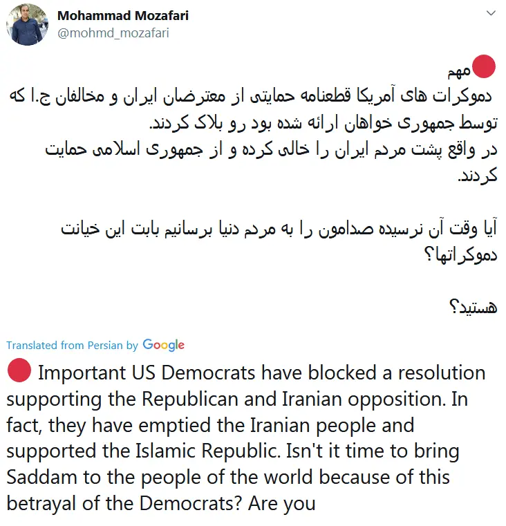 Democrat supporting the Islamic Republic.webp