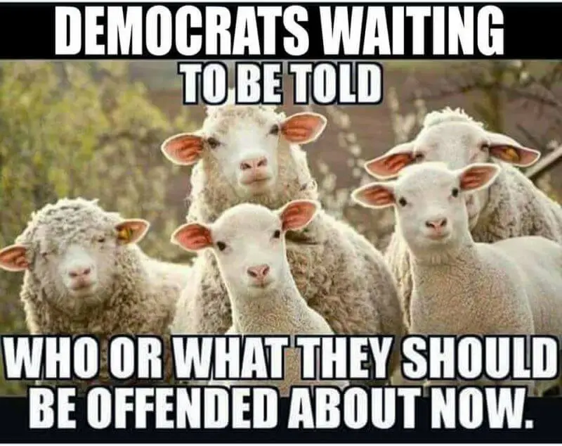 democrat-votersRsheep7yririwr.webp
