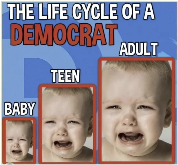 democratarecrybabieshnfjhdjhd.webp