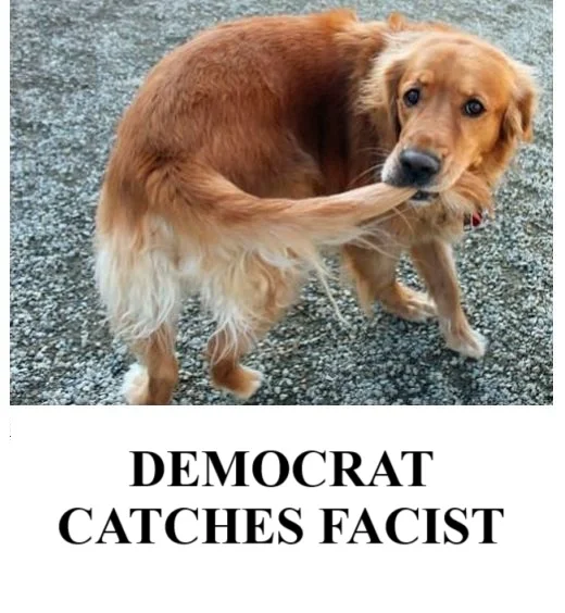 democratcatchesfacisthgfhfhfjf.webp
