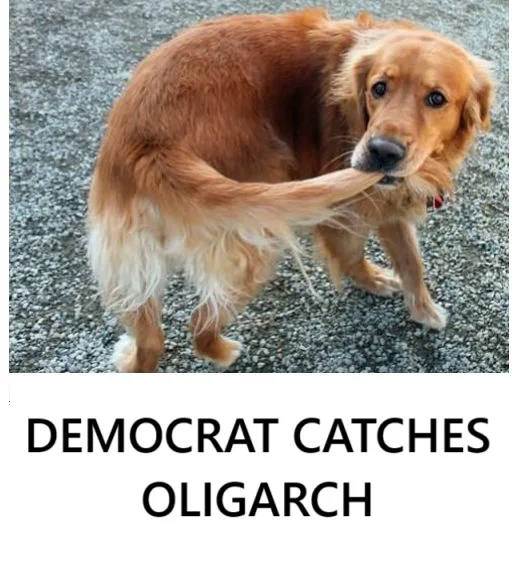 democratcatchesoligarcrjrhgtetet2.webp