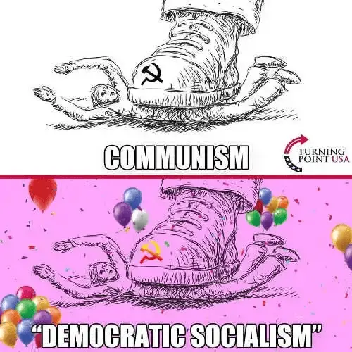 DEMOCRATIC SOCIALISM.png