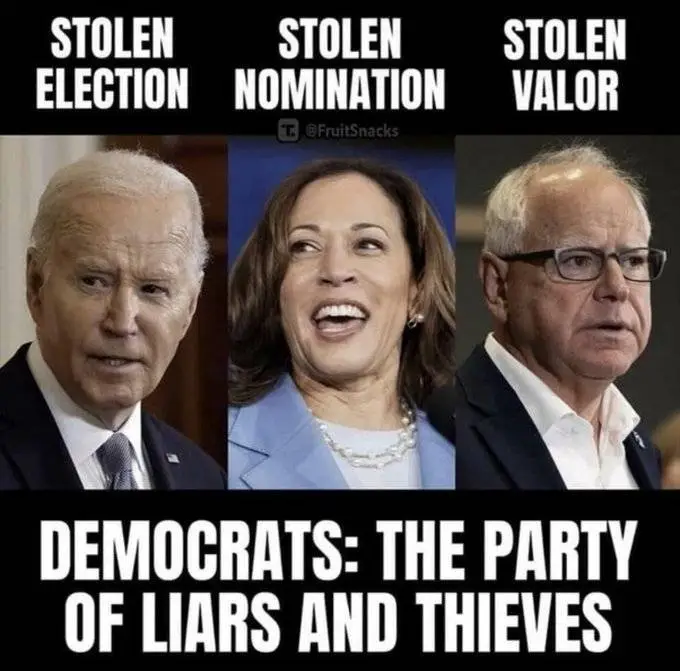 democrats everything stolen.webp