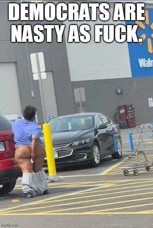 democrats nasty as ****.webp
