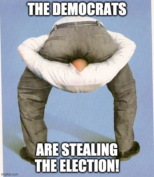 Democrats stealing the election.webp