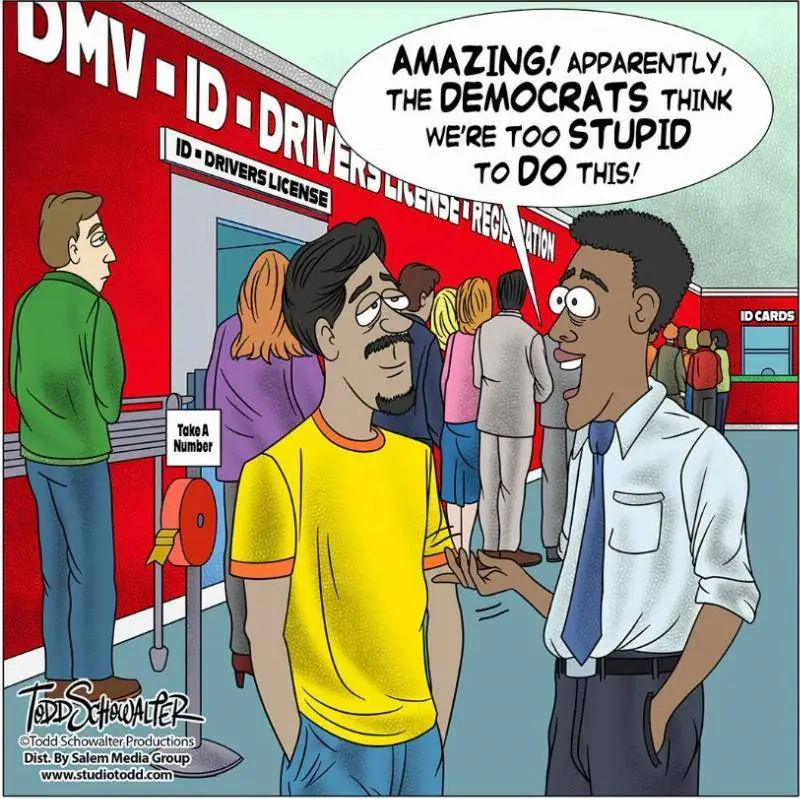 DEMOCRATS THINK WE'RE STUPID.webp