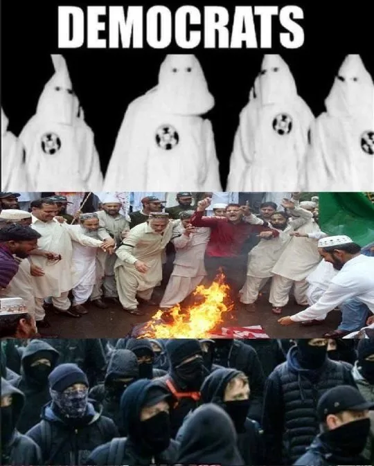 democrats2 081717.webp