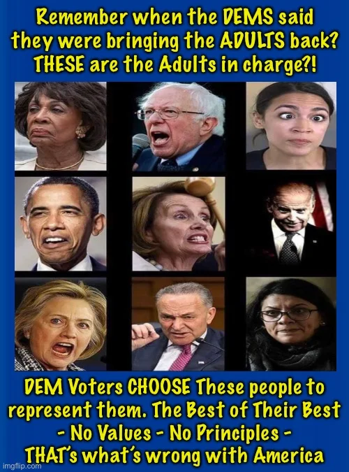 democratsarecrazyjfjkfkjfkjfkjfk.webp