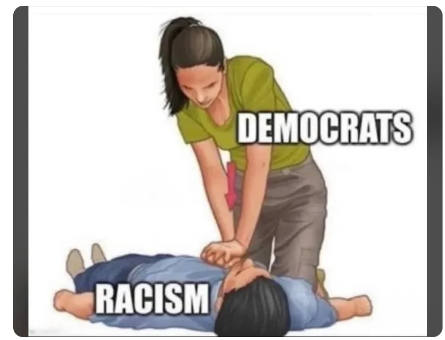 democratsareracistffhjhhfh.webp