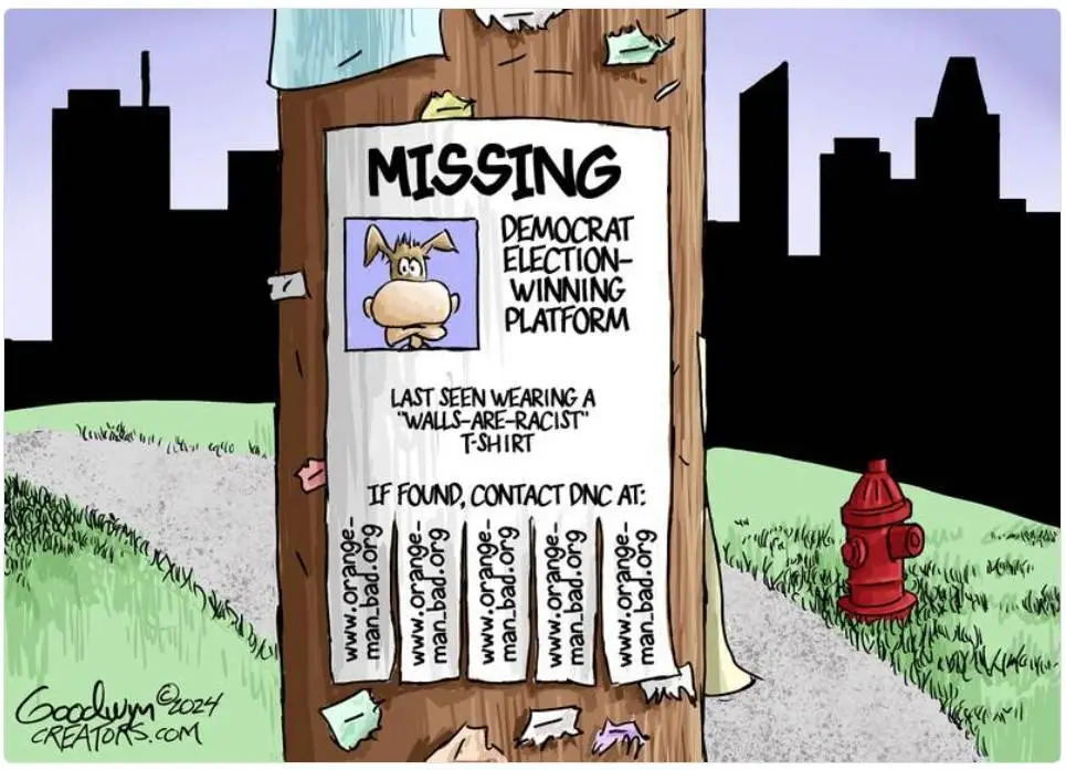 democratsareracistfhgfhdhgdhd.webp