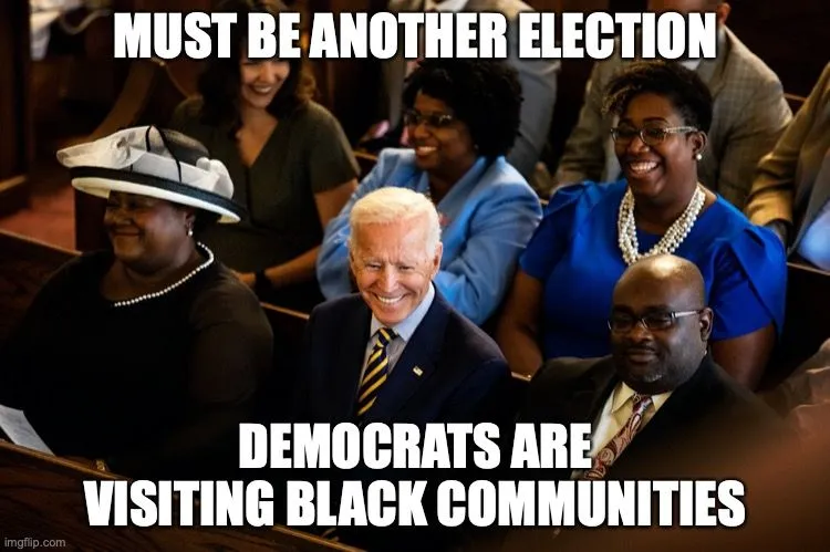 democratsareracisthddgdhgdghdghsghs.webp