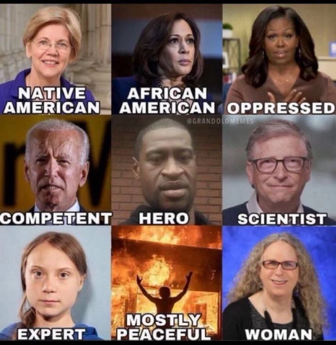 DemocratsExplained.webp