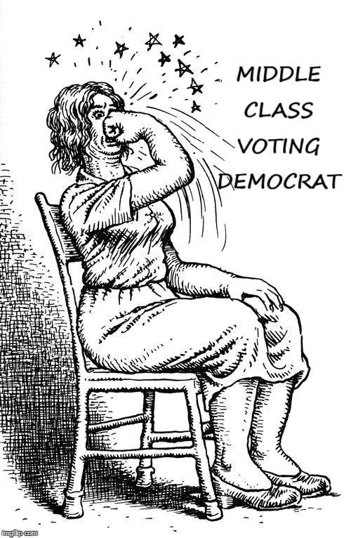 democratshatewomen22.webp