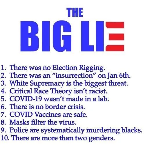 democratslieabouteverythingjhdsjdfsjg2.webp