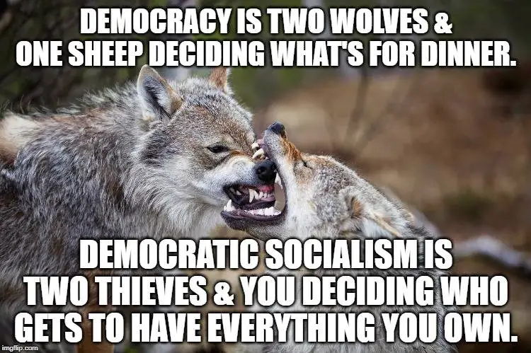 democratsocialistshgfhfhfj.webp