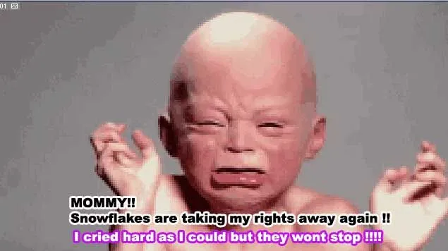 DemocratsTookMyRights.webp