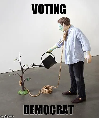 democratvotersgdggss.webp