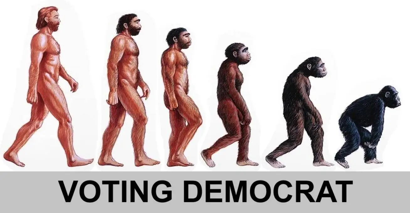 Democratvotingdemocrat1 09 18 24.webp